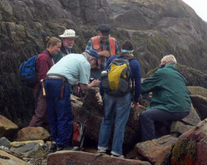 search for lichens at McLellan Park copyright Colin Freebury