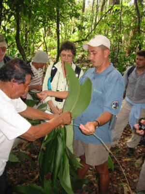 Ori Don German plant demo copyright Joerg Lotze