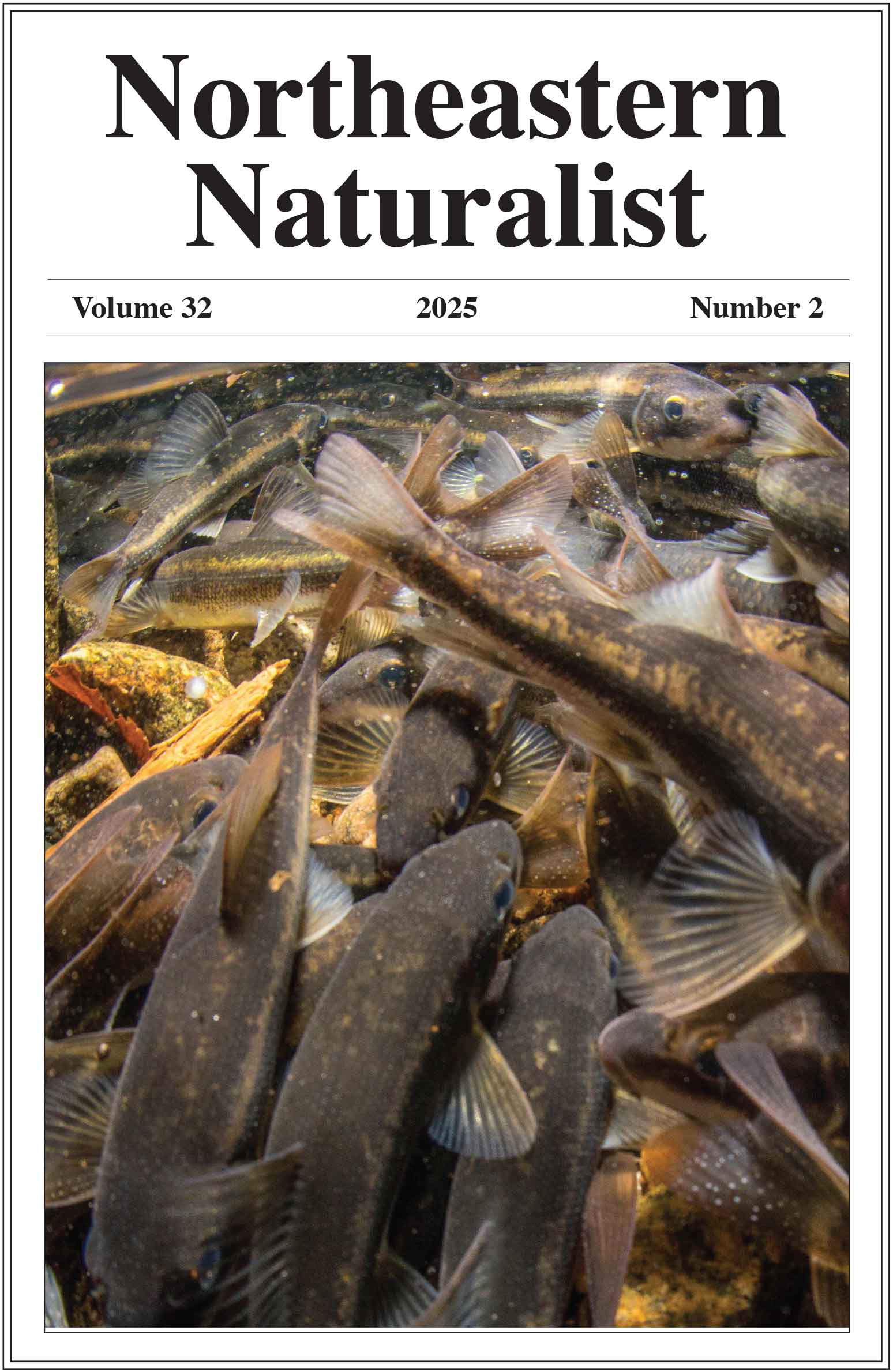 NENA 32(2) cover