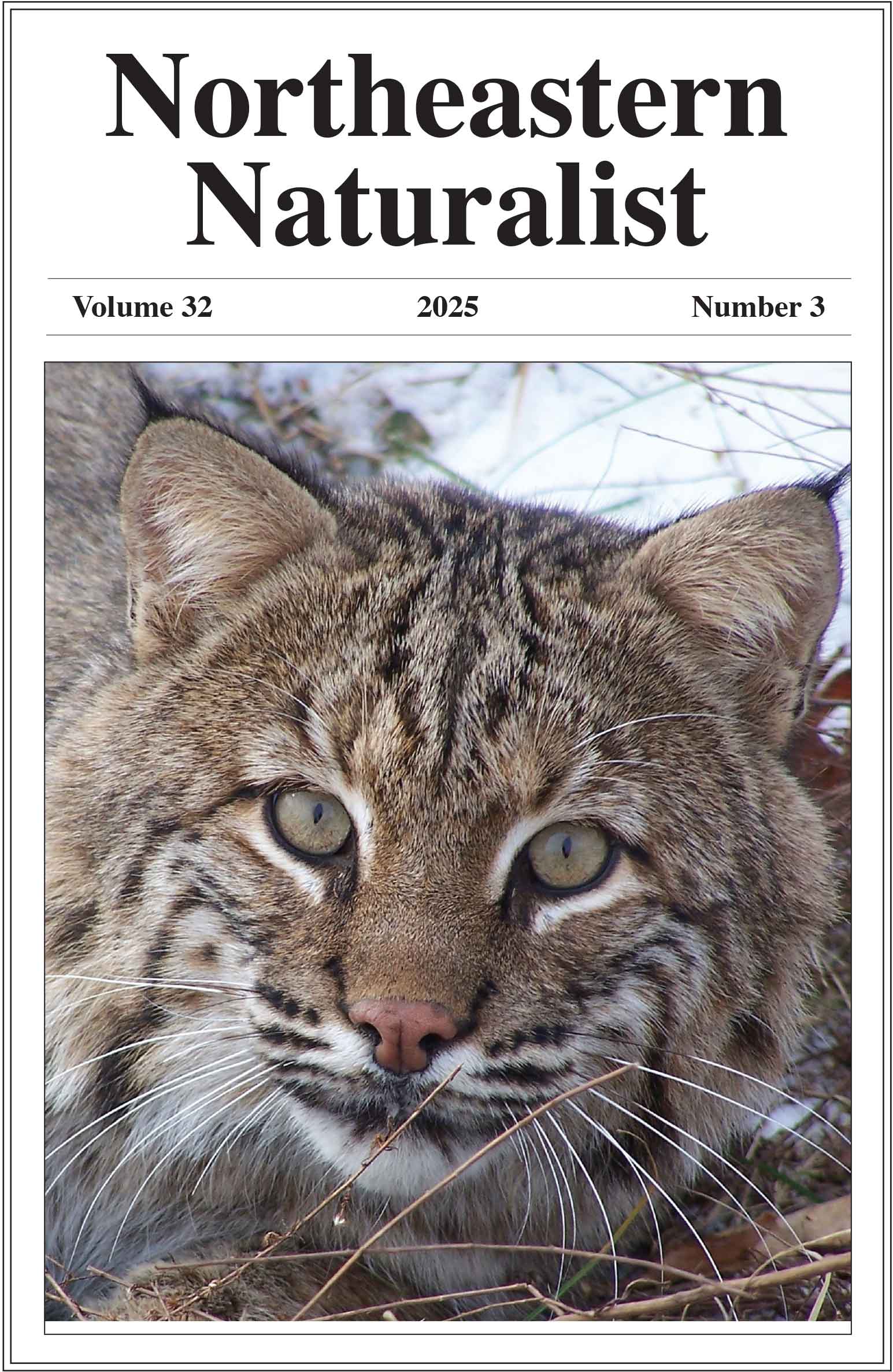 NENA 32(3) cover