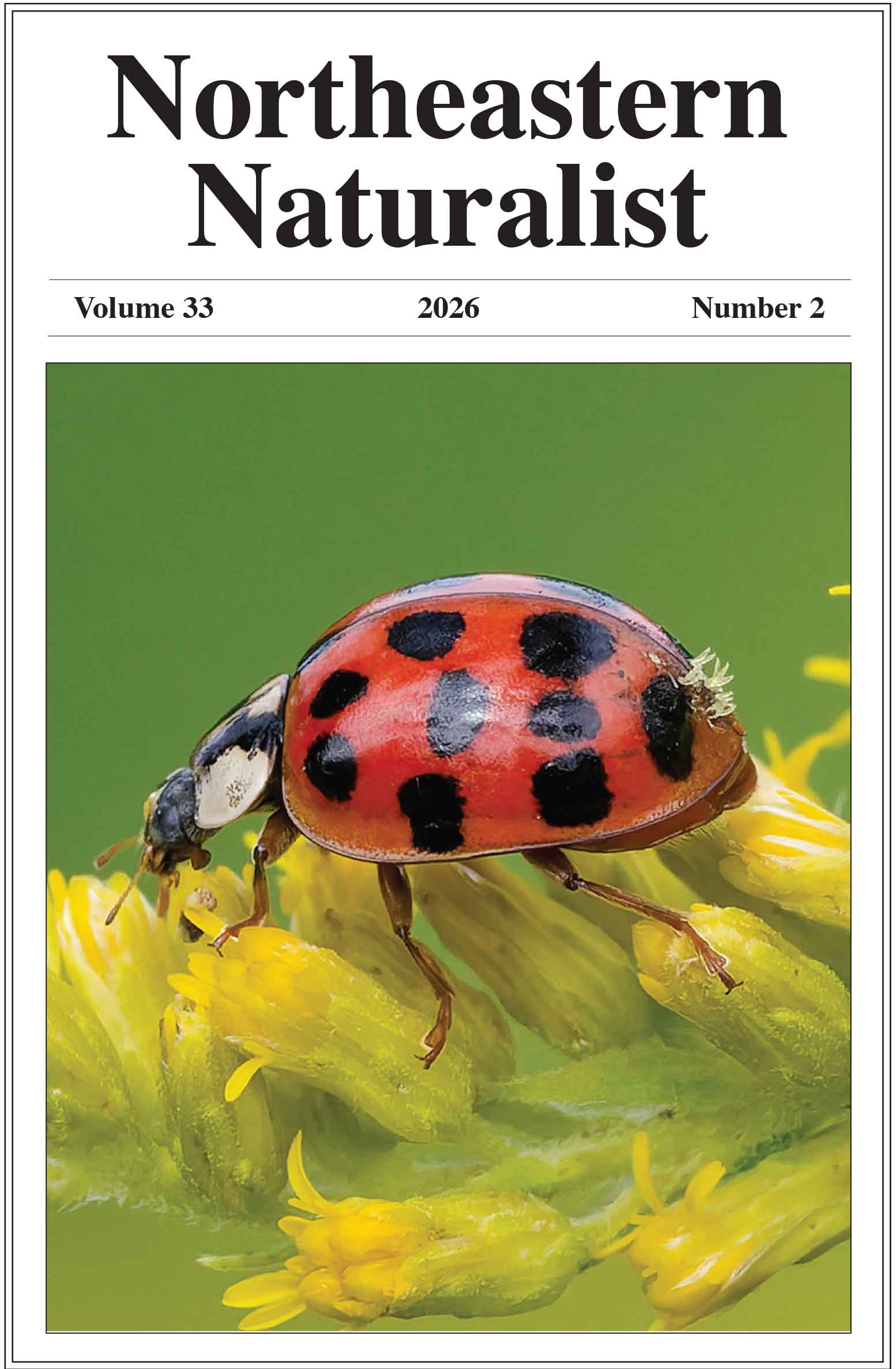 NENA 33(2) cover