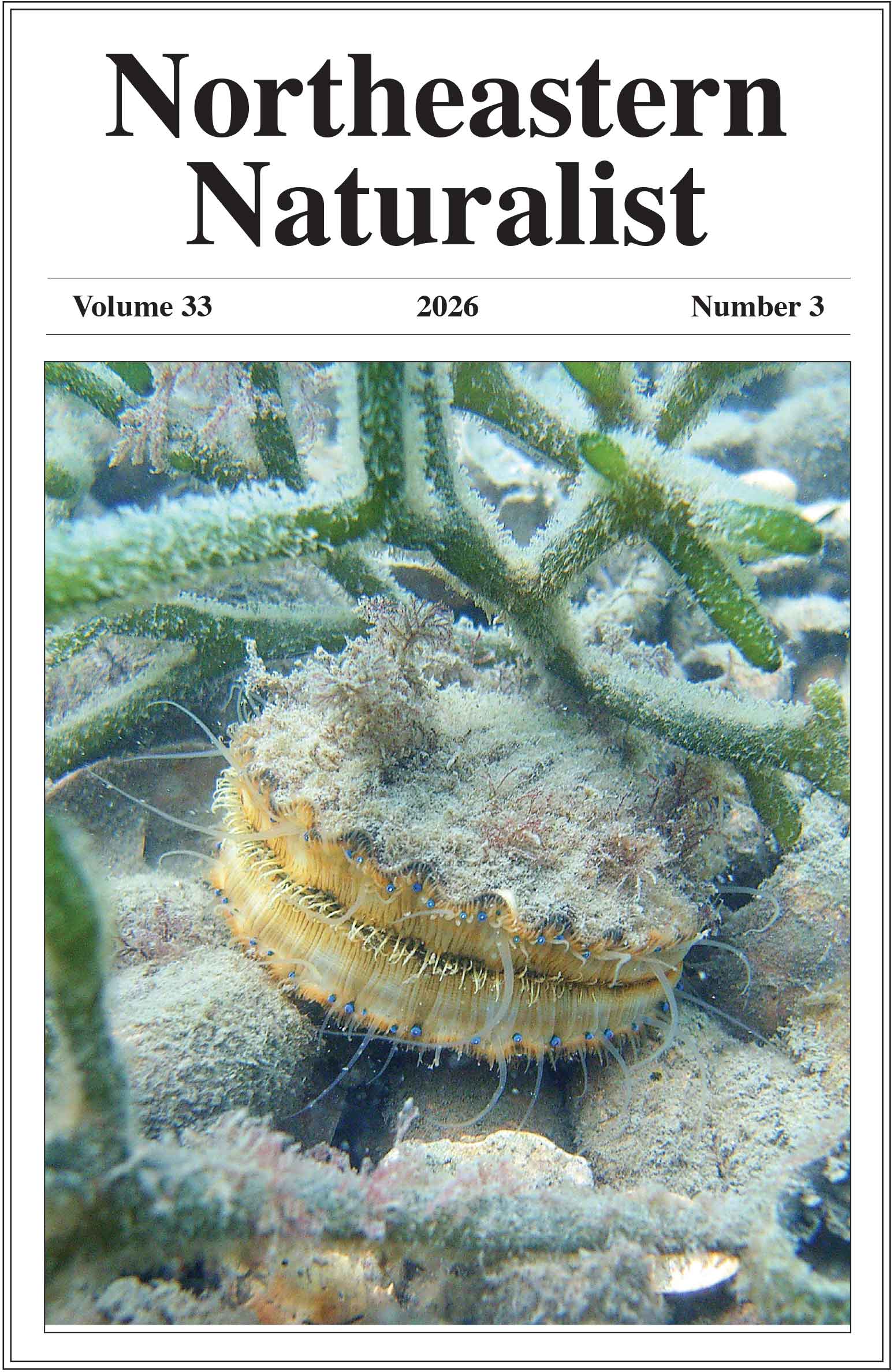 NENA 33(3) cover