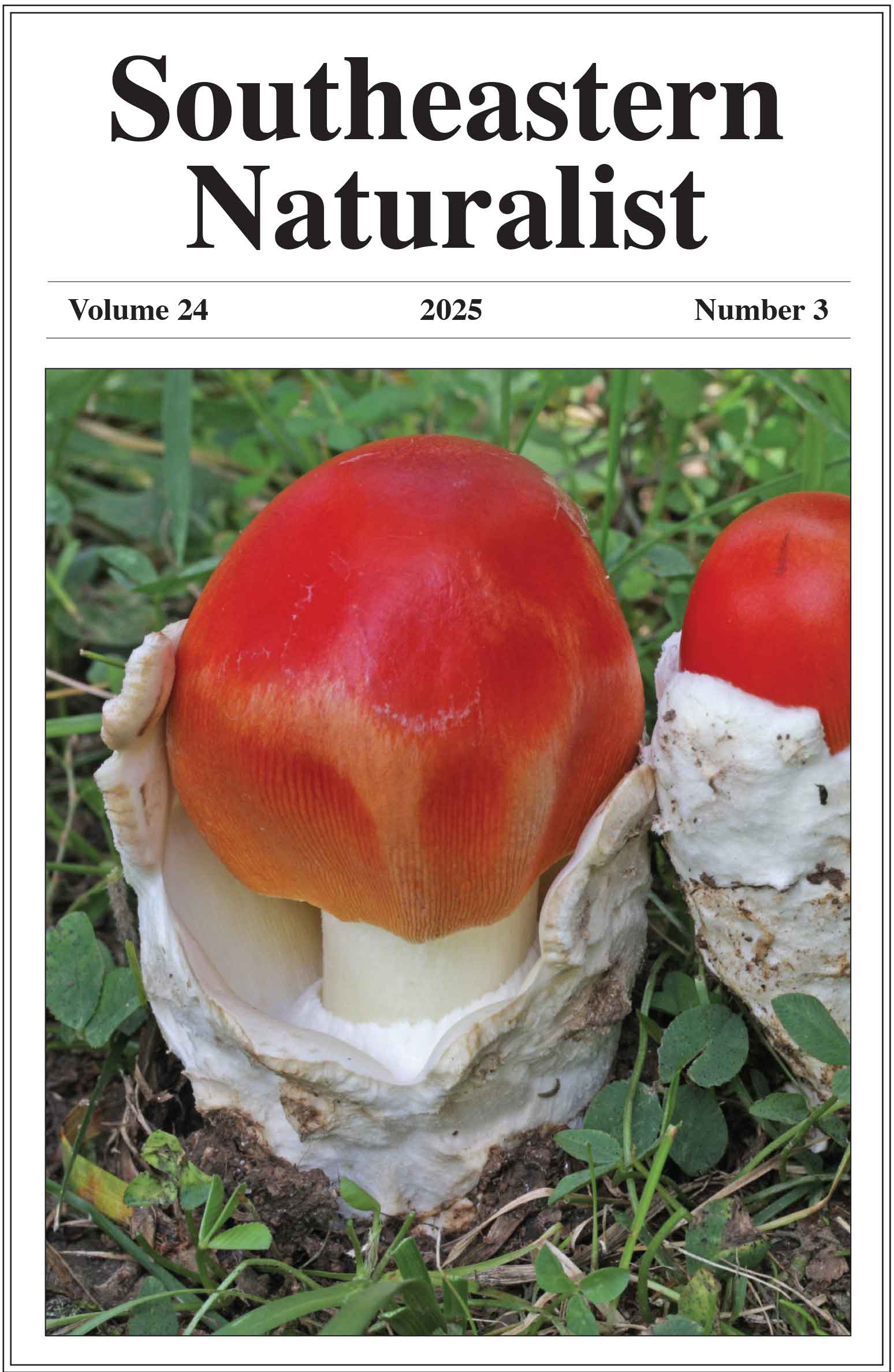 cover SENA 24(3)